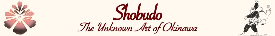 Shobudo Banner